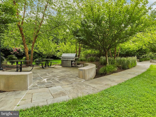 view of patio / terrace with grilling area