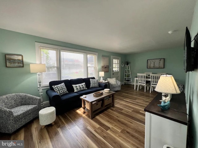 living room with wood-type flooring