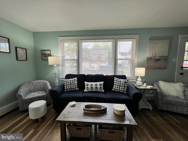 living room featuring hardwood / wood-style flooring and a wealth of natural light