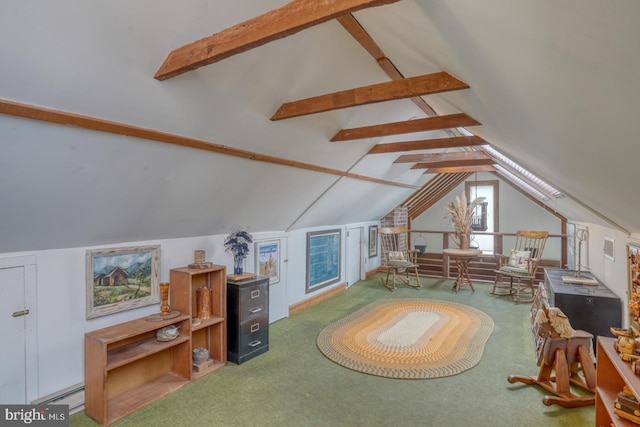 130 Mcfee St, Lewes, DE 19958 - additional living space with a baseboard heating unit and carpet floors