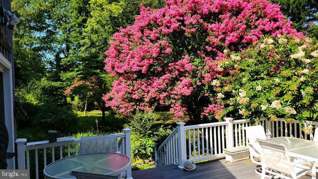 130 Mcfee St, Lewes, DE 19958 - wooden deck featuring outdoor dining area and view of wooded area