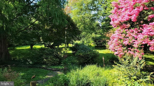 130 Mcfee St, Lewes, DE 19958 - view of nature
