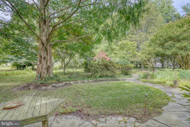 130 Mcfee St, Lewes, DE 19958 - view of green lawn