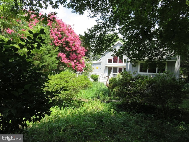 130 Mcfee St, Lewes, DE 19958 - view of yard