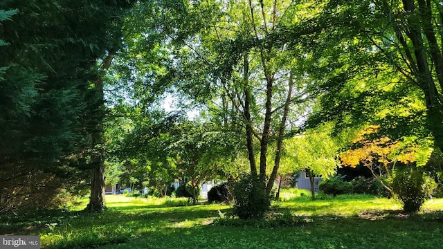 130 Mcfee St, Lewes, DE 19958 - view of yard