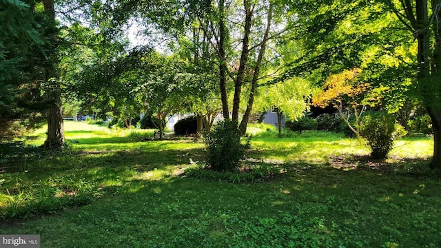 130 Mcfee St, Lewes, DE 19958 - view of grassy yard