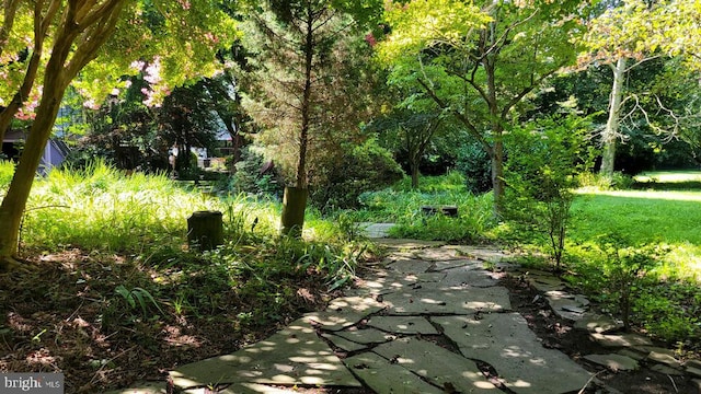 130 Mcfee St, Lewes, DE 19958 - view of property's community