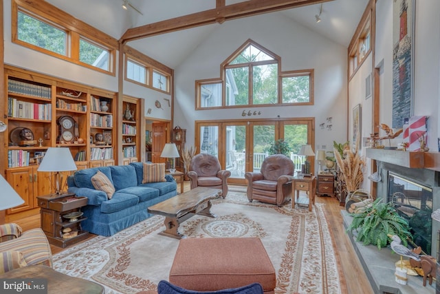 living room featuring a healthy amount of sunlight, rail lighting, high vaulted ceiling, and light wood-type flooring