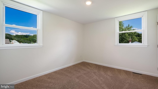 spare room featuring carpet floors