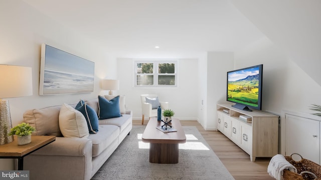 living room featuring light hardwood / wood-style floors