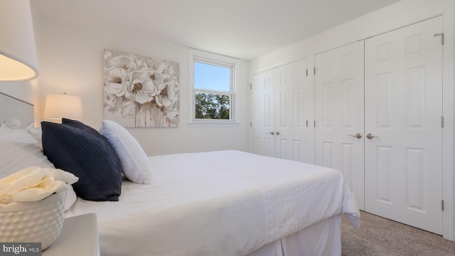 bedroom featuring carpet and a closet