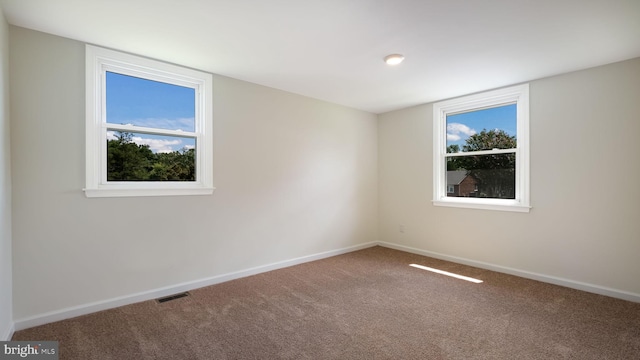 empty room featuring carpet flooring and a wealth of natural light