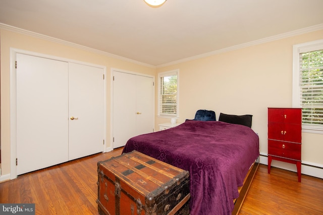 bedroom featuring multiple windows, crown molding, and wood-type flooring