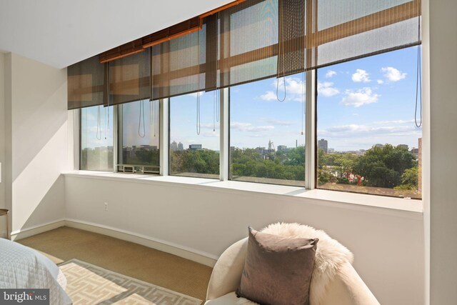 sitting room featuring carpet