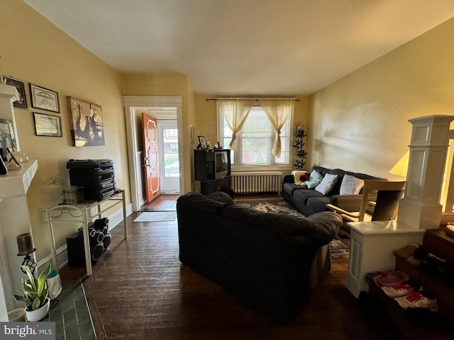 living room with radiator and hardwood / wood-style floors