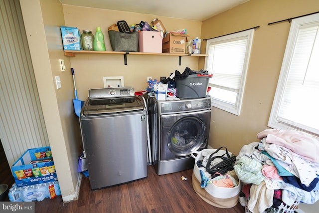 laundry room with hardwood / wood-style floors and washing machine and dryer