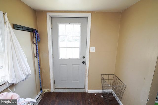 doorway featuring hardwood / wood-style floors and a healthy amount of sunlight