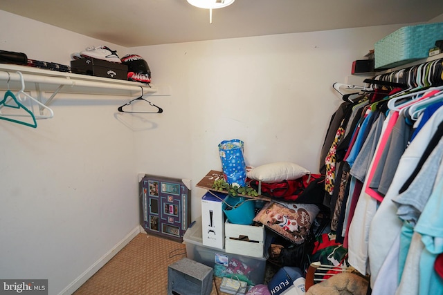 spacious closet with carpet