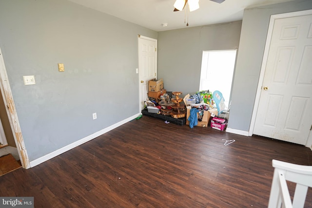 rec room featuring ceiling fan and wood-type flooring