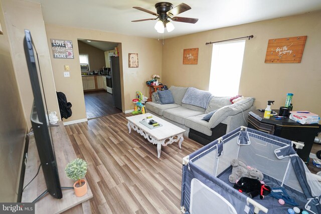 living room with light hardwood / wood-style floors and ceiling fan