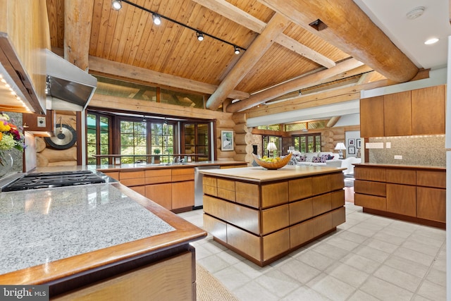 kitchen with track lighting, wood ceiling, plenty of natural light, and stainless steel appliances