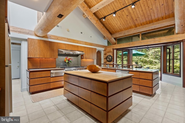 welcome area featuring arched walkways, visible vents, and a sink