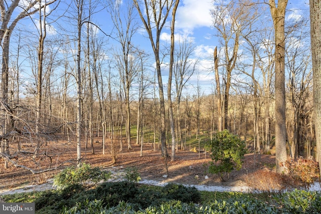view of local wilderness