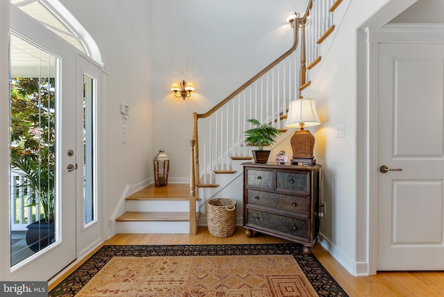 foyer with wood-type flooring