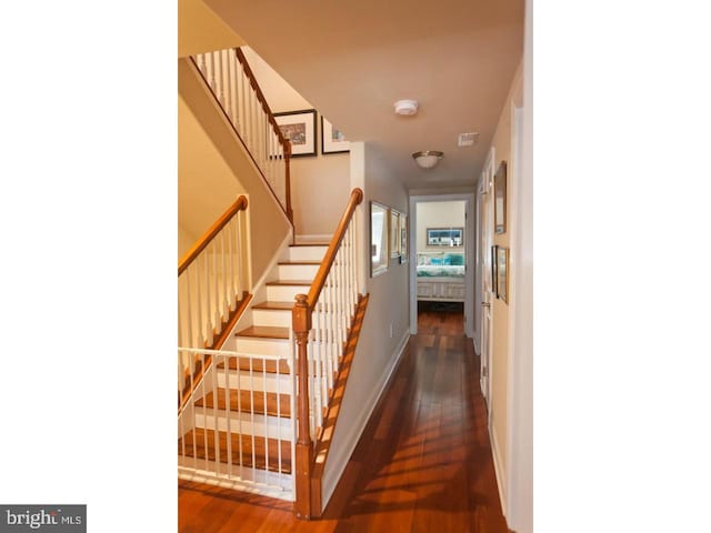 stairway with hardwood / wood-style floors