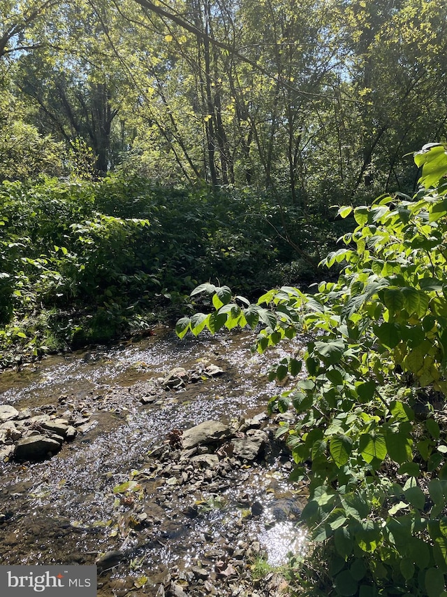 view of local wilderness with a water view