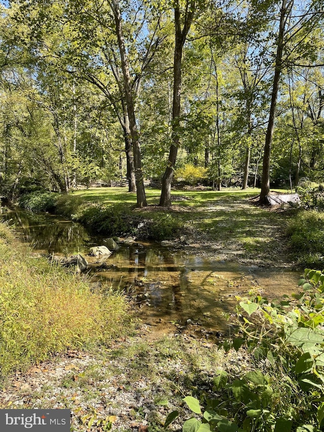 view of local wilderness featuring a water view