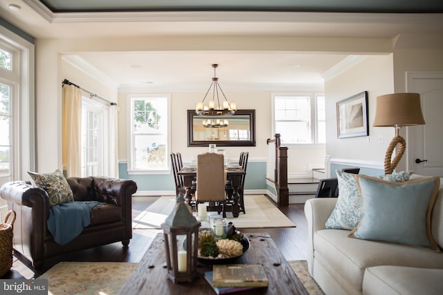 living room with crown molding, an inviting chandelier, and wood-type flooring