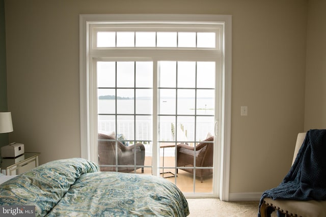 carpeted bedroom with multiple windows