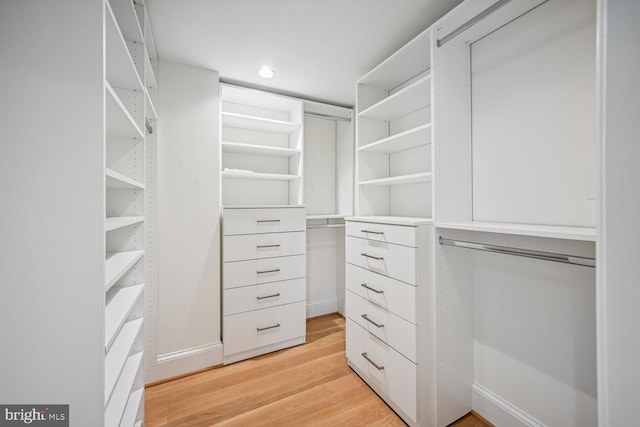 spacious closet featuring light hardwood / wood-style flooring