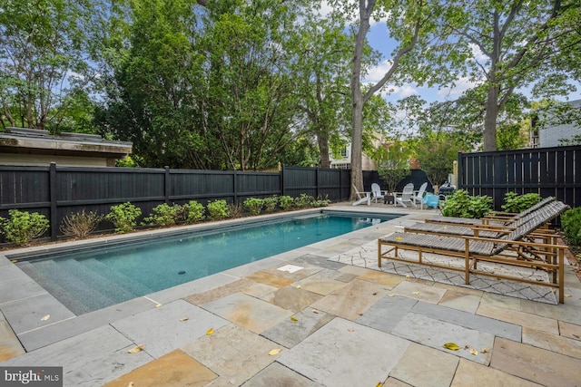 view of swimming pool with a patio