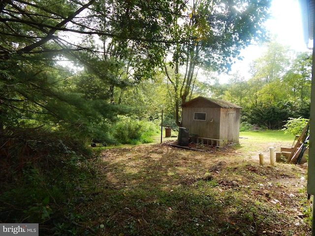 view of yard with a storage unit