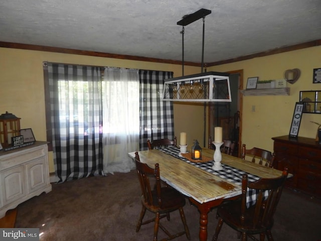 carpeted dining area with a textured ceiling