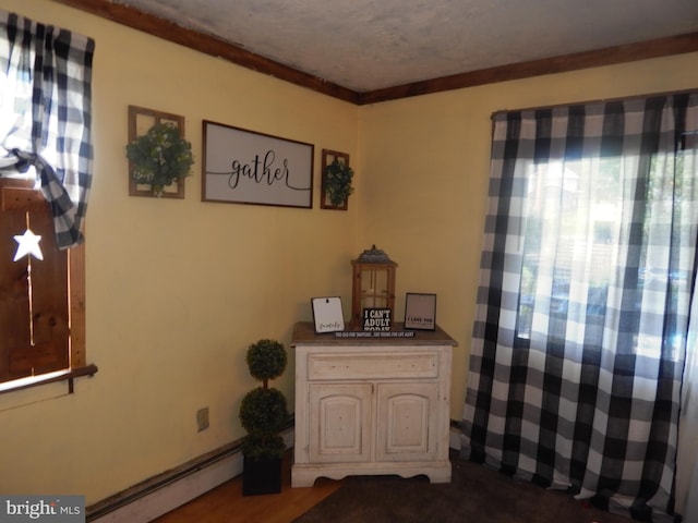 interior space featuring a baseboard heating unit and crown molding