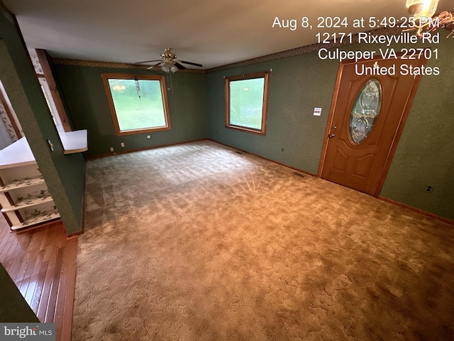 carpeted entrance foyer featuring ornamental molding and ceiling fan