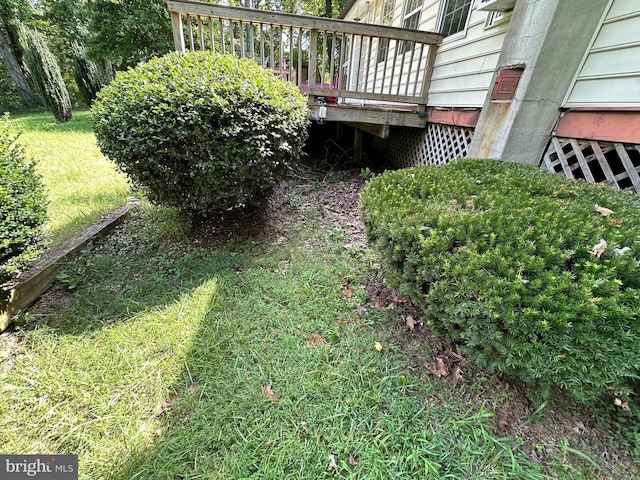 view of yard featuring a wooden deck