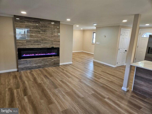 living room featuring ornamental molding, a large fireplace, and wood-type flooring