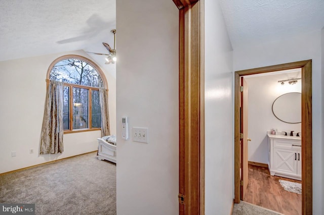 hallway with a textured ceiling, carpet flooring, vaulted ceiling, and sink