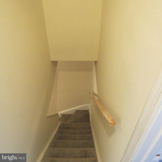 stairway with wood-type flooring