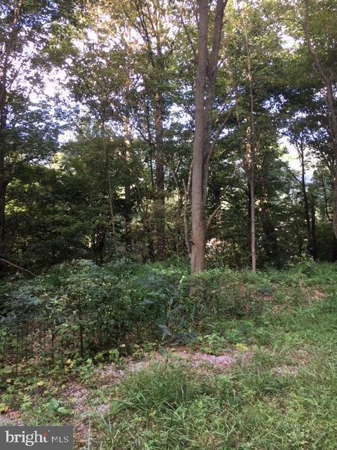 10400 Summit Chase Dr, Cumberland MD, 21502 land for sale