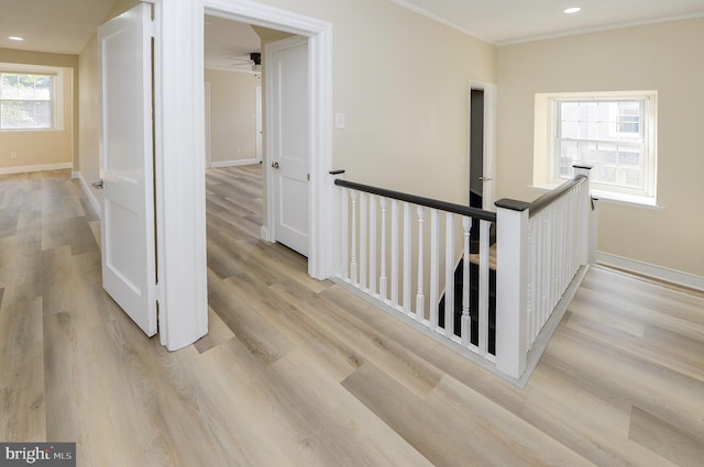 hallway with light hardwood / wood-style floors and crown molding