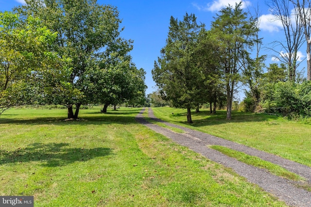 view of community with a lawn