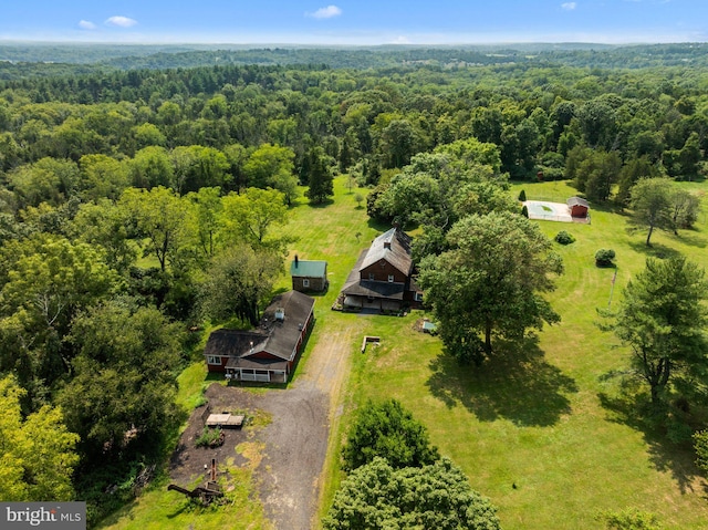 bird's eye view