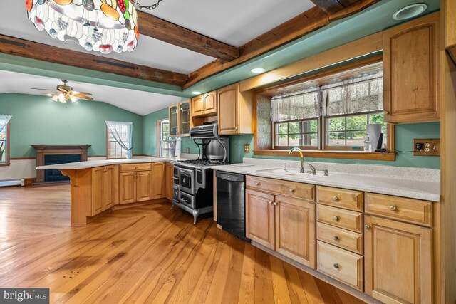 kitchen with sink, dishwasher, a healthy amount of sunlight, and ceiling fan