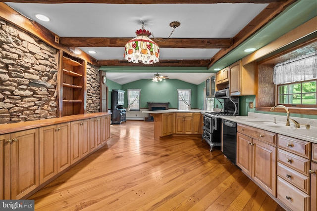 kitchen with a wealth of natural light, light wood-type flooring, sink, and dishwasher