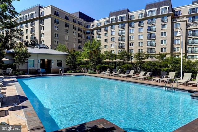 view of swimming pool